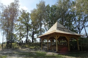 Экскурсия в Каменное село: Бабина гора, Олевск